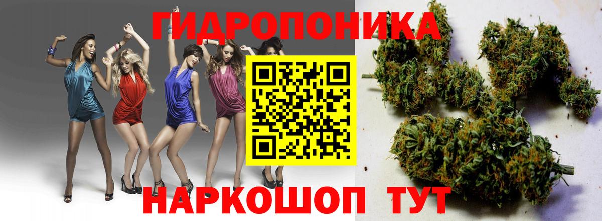 Конопля ГИДРОПОН Севастополь